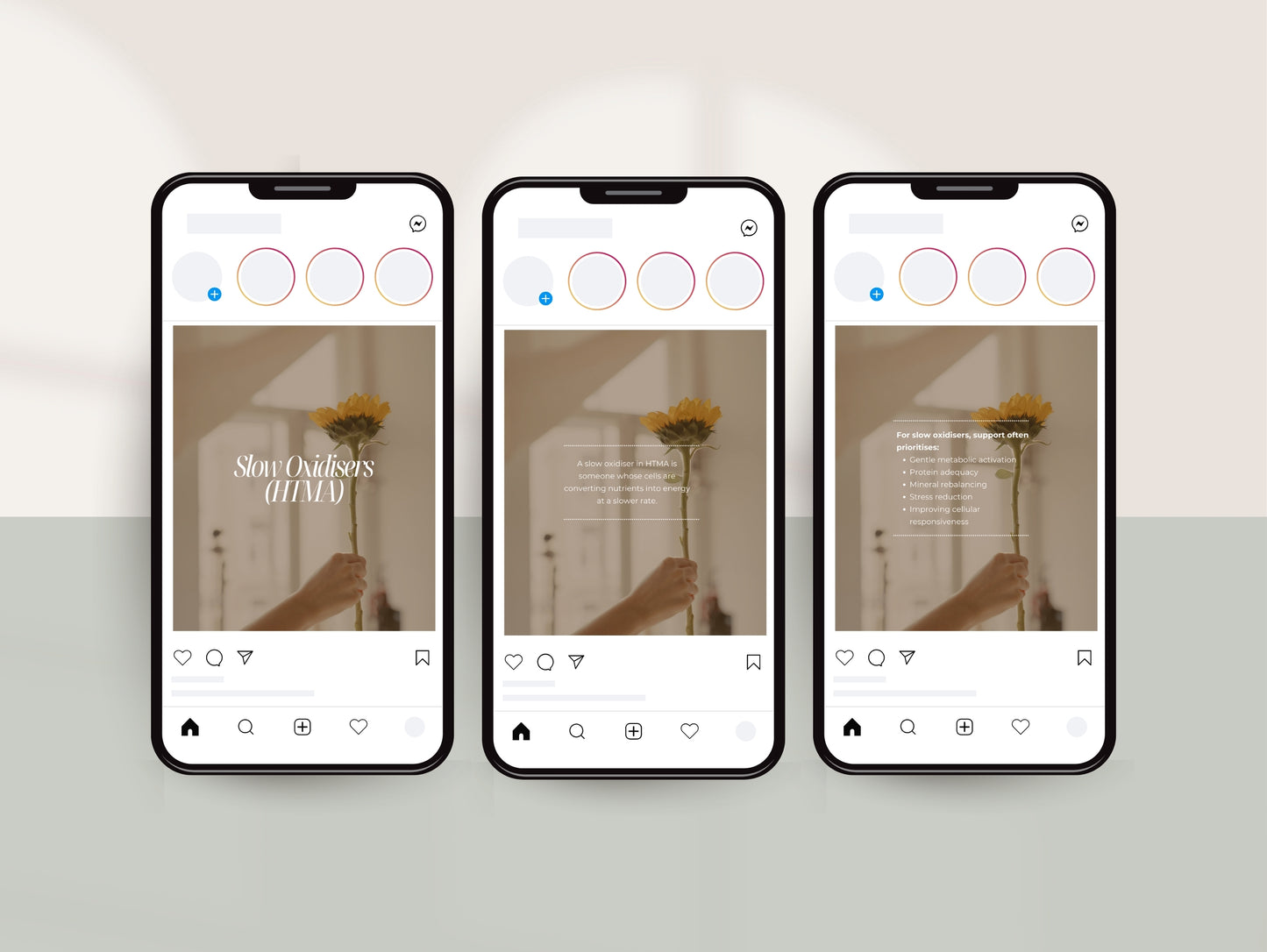 HTMA Social Media Posts