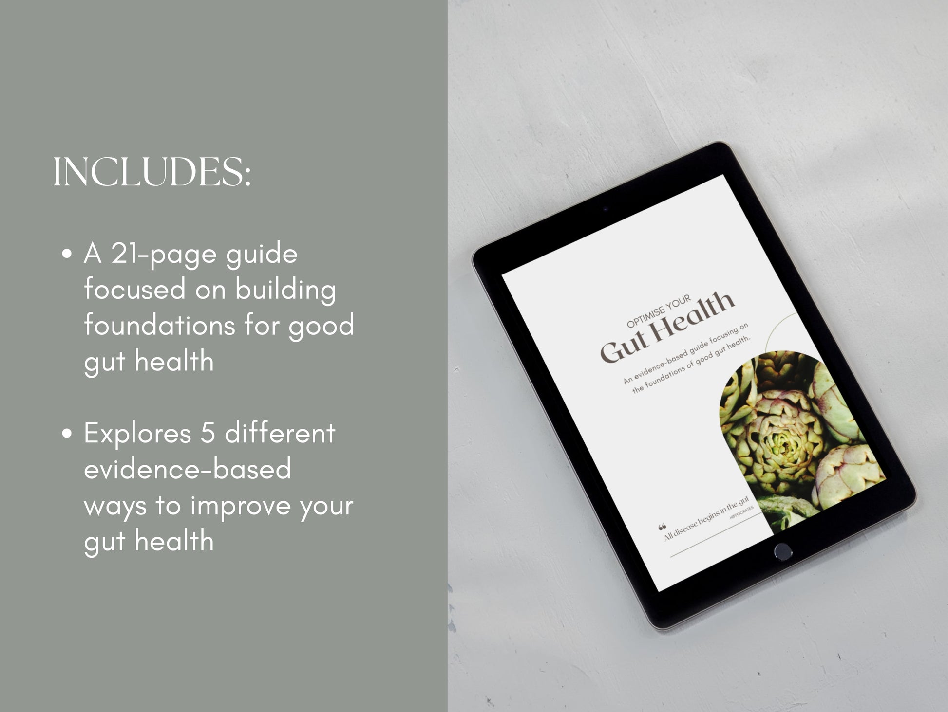 PLR gut health eBook for dietitians, herbalists, and functional medicine