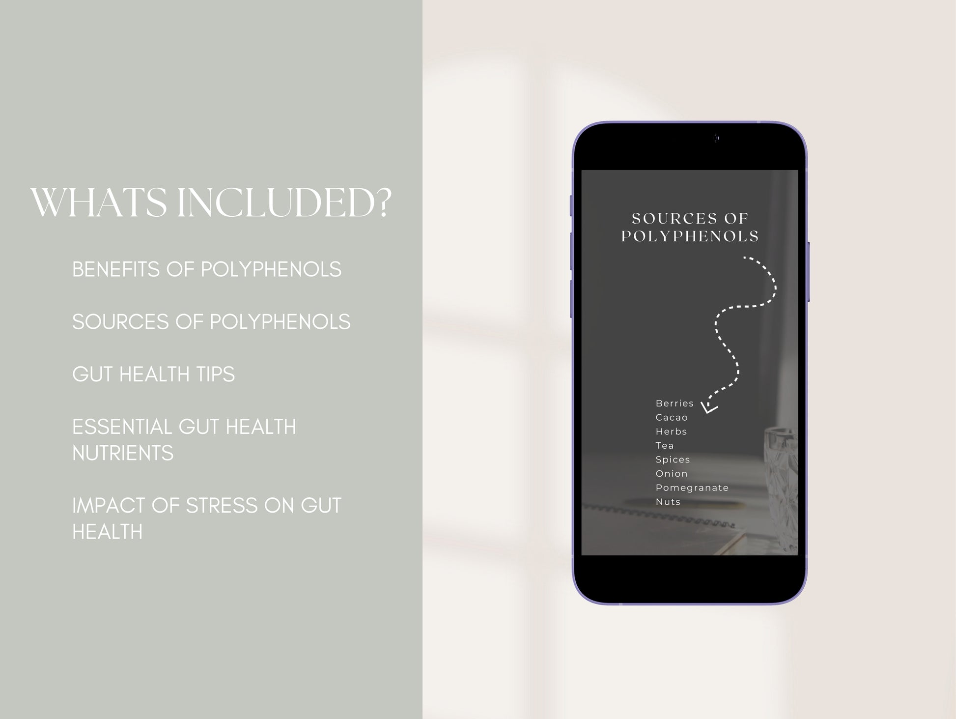 Microbiome and digestion Instagram reels for naturopathic marketing