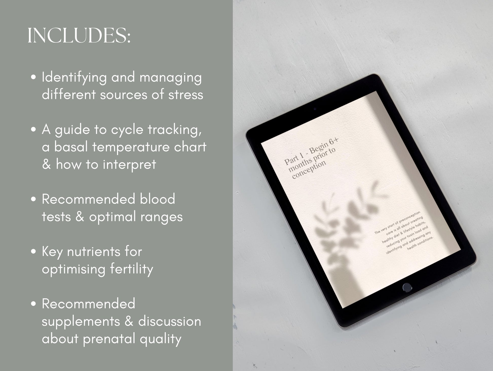 Functional preconception care eBook template for nutritionists and NDs