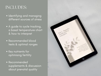Functional preconception care eBook template for nutritionists and NDs