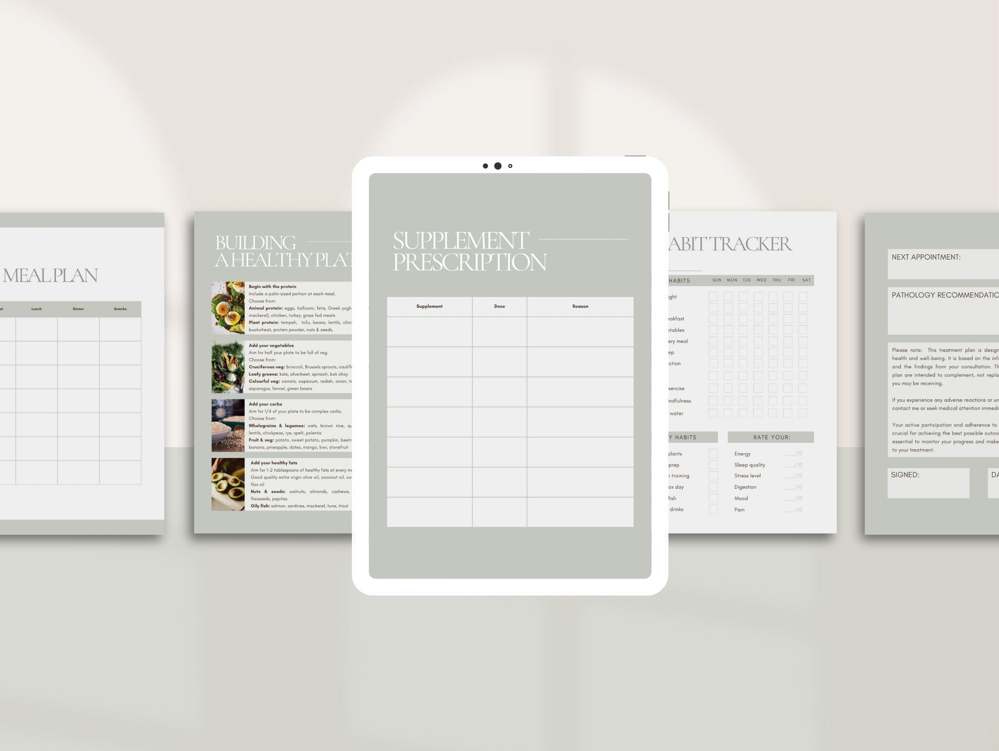 Patient treatment plan template for wellness professionals