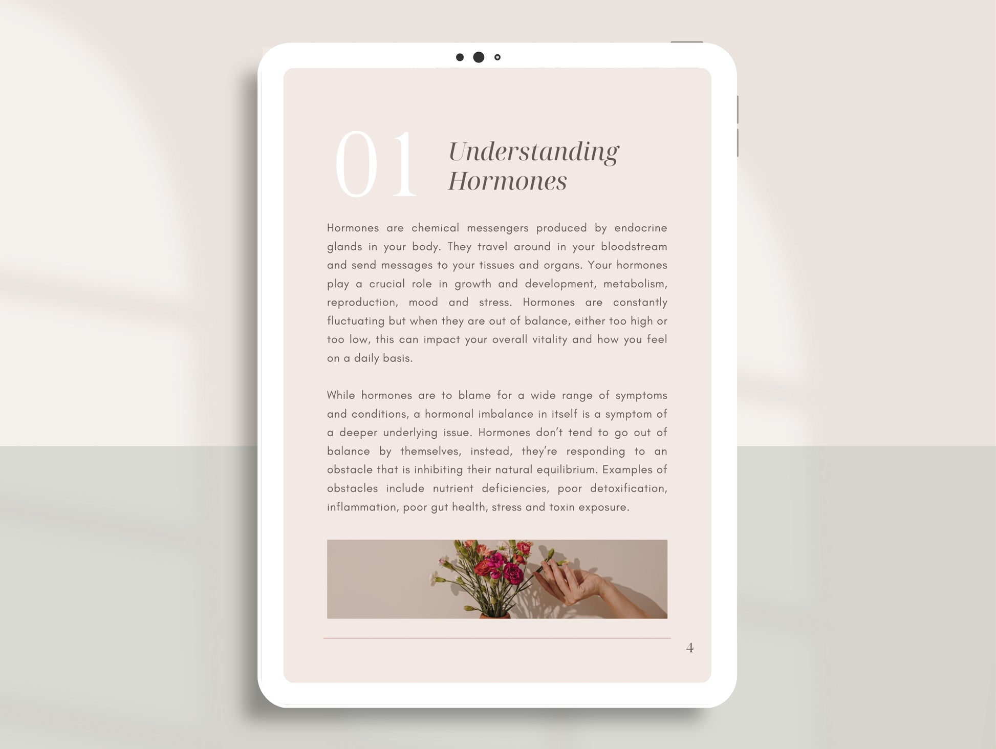 Functional medicine hormone eBook for nutritionists and dietitians