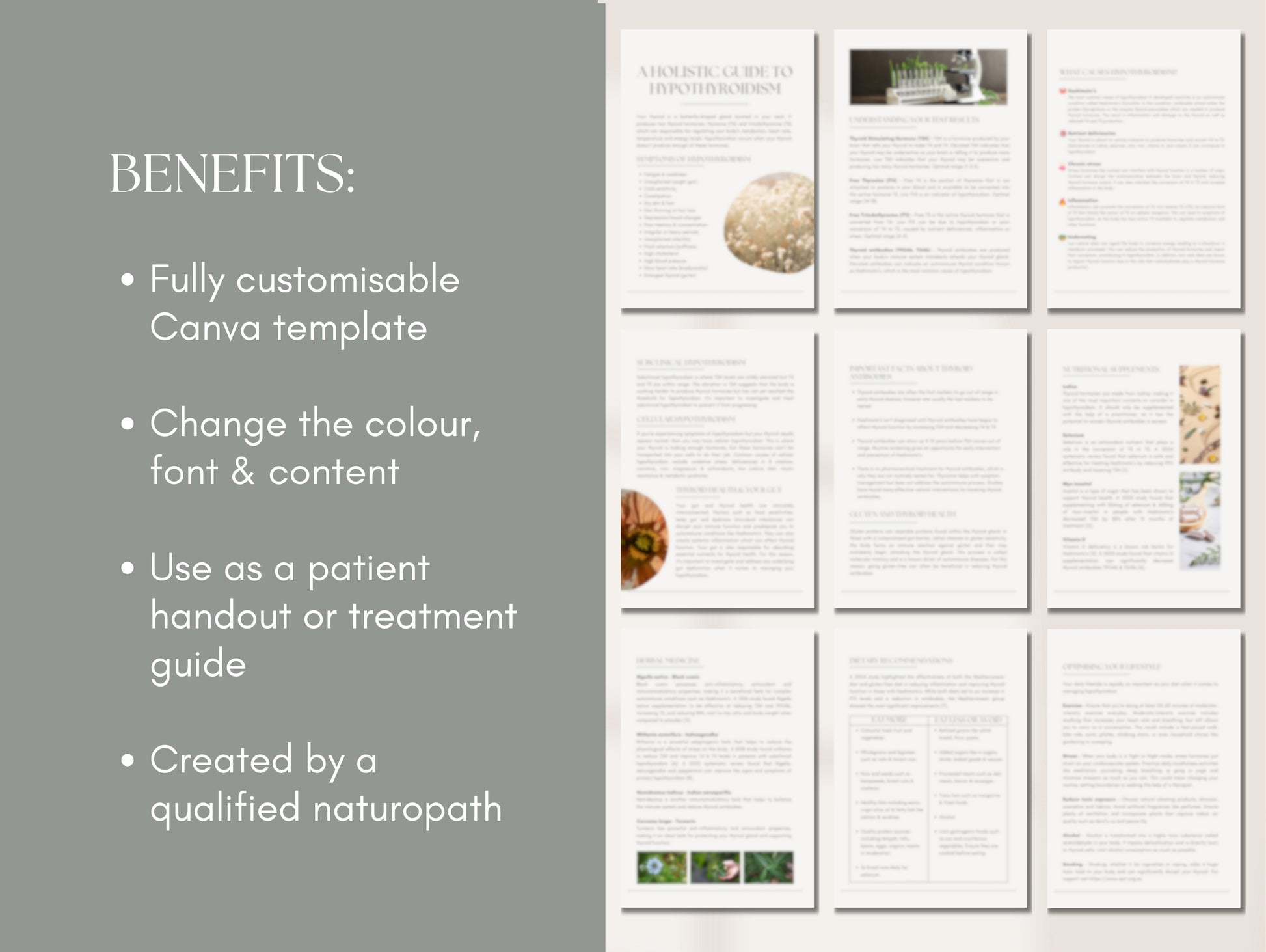 Hypothyroid management patient booklet for holistic health and naturopathic practices