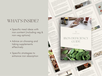 Canva iron deficiency patient handout template for wellness professionals and herbalists