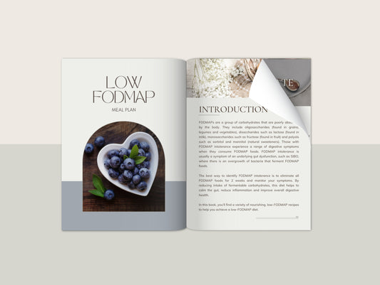 Low FODMAP meal plan with recipes for naturopaths and nutritionists