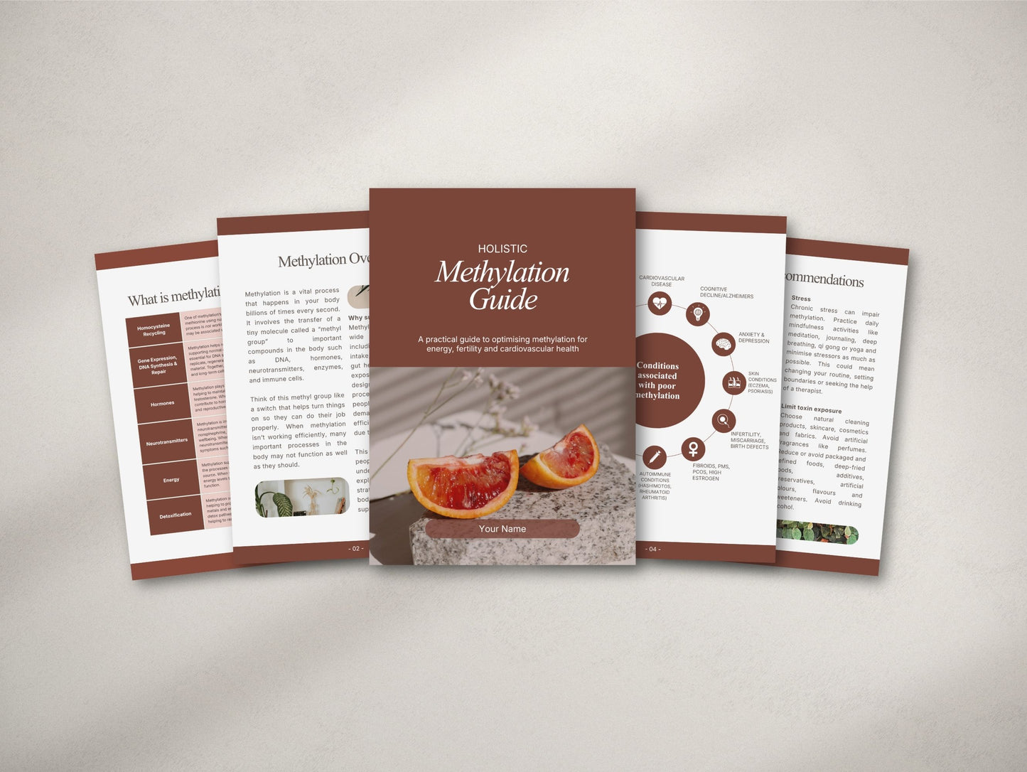 Methylation Patient Booklet