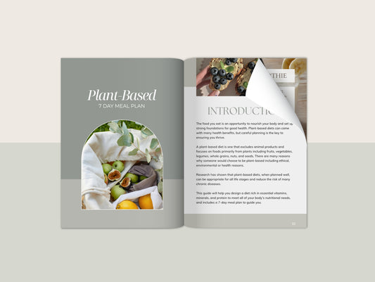 7 Day Plant-Based Meal Plan