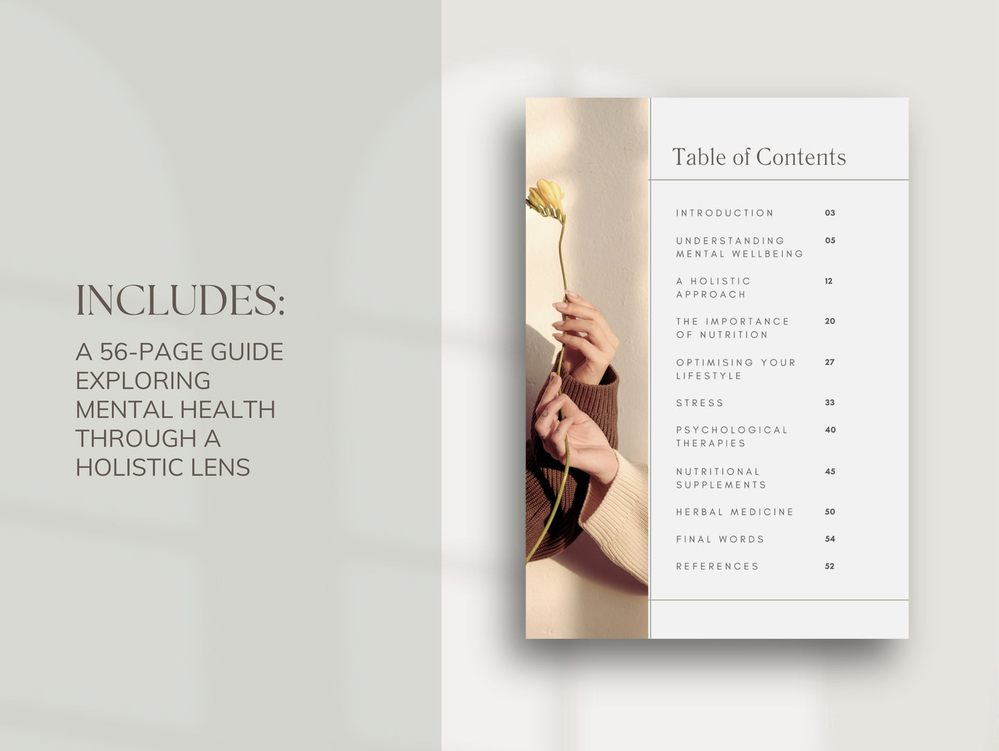 Editable mental wellbeing eBook PLR template for wellness professionals