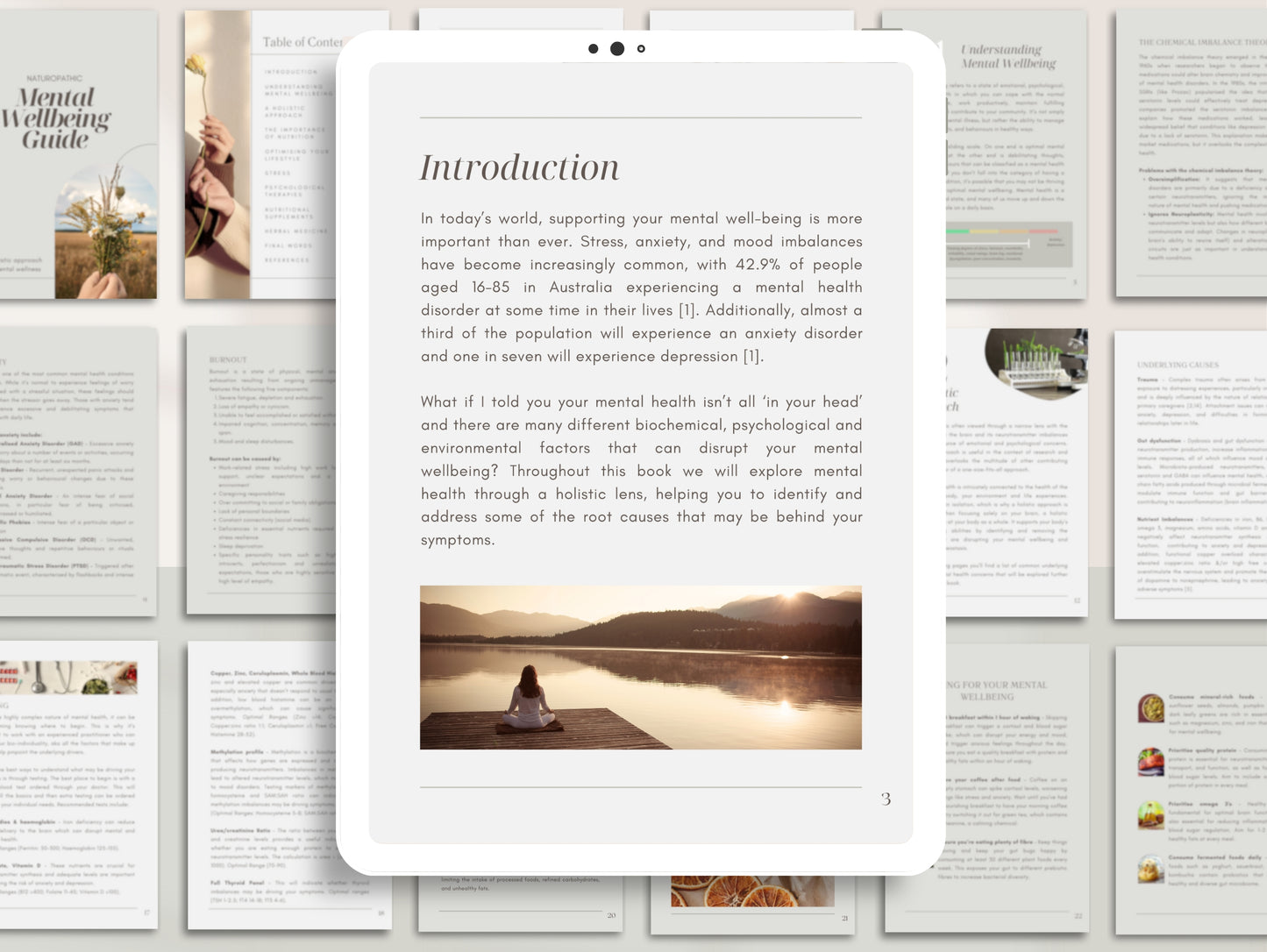 Editable white-label anxiety and depression mental health eBook