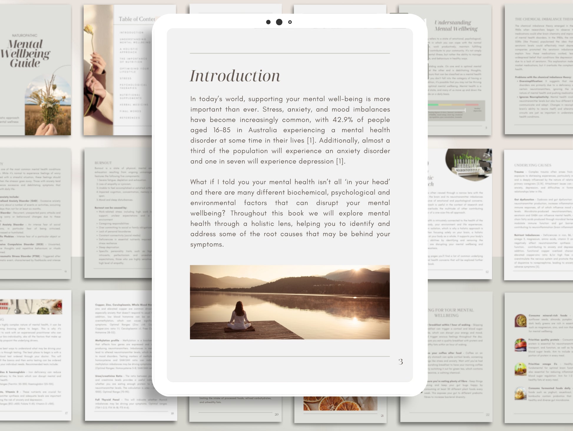 Editable white-label anxiety and depression mental health eBook