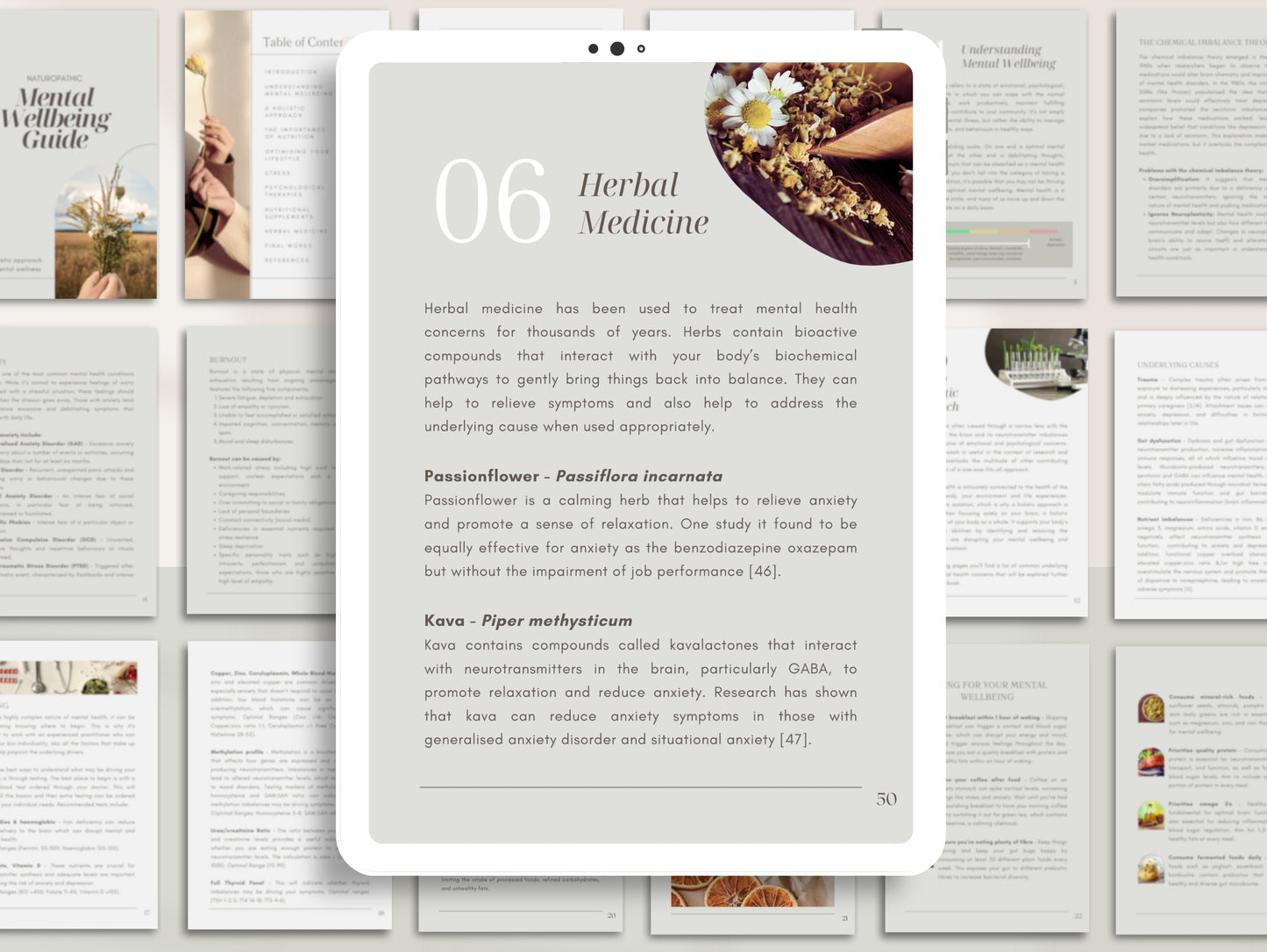 Mental wellbeing eBook with PLR rights for ND's, naturopaths, holistic health professionals
