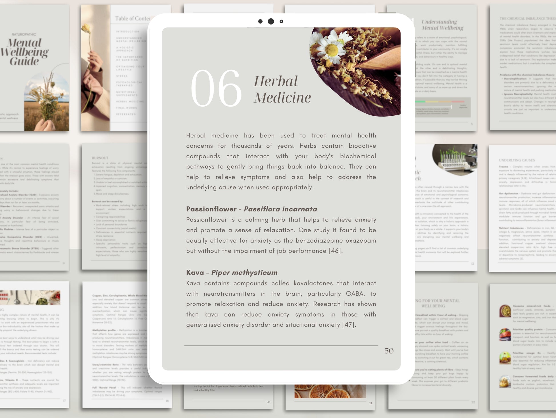 Mental wellbeing eBook with PLR rights for ND's, naturopaths, holistic health professionals