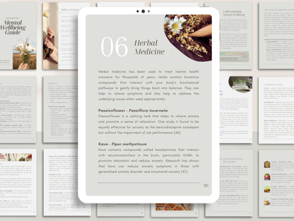 Mental wellbeing eBook with PLR rights for ND's, naturopaths, holistic health professionals