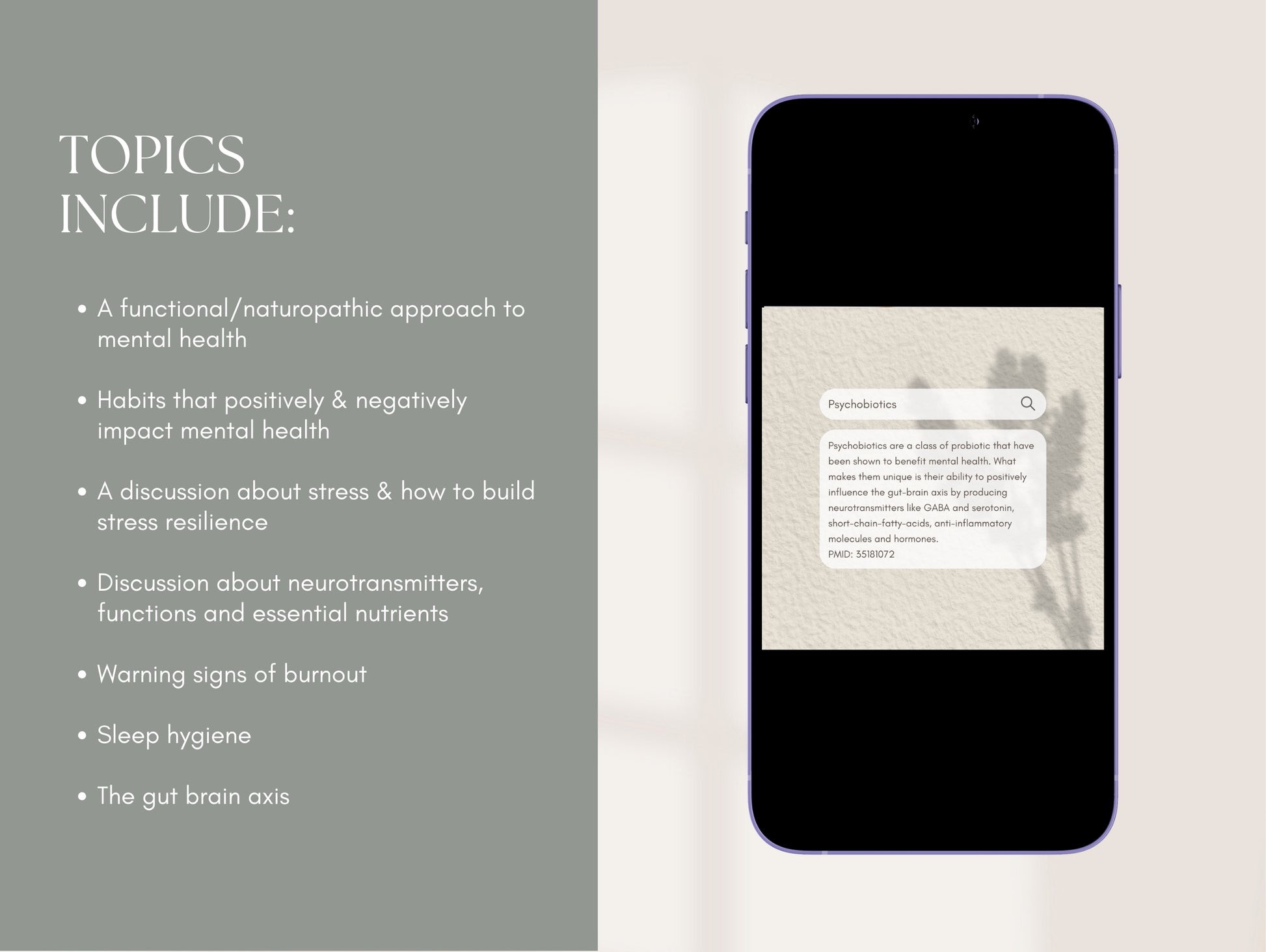 Anxiety and depression Canva posts for naturopaths