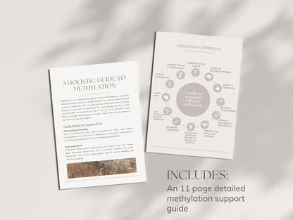 Done-for-you MTHFR patient guide for holistic health professionals and nutritionists