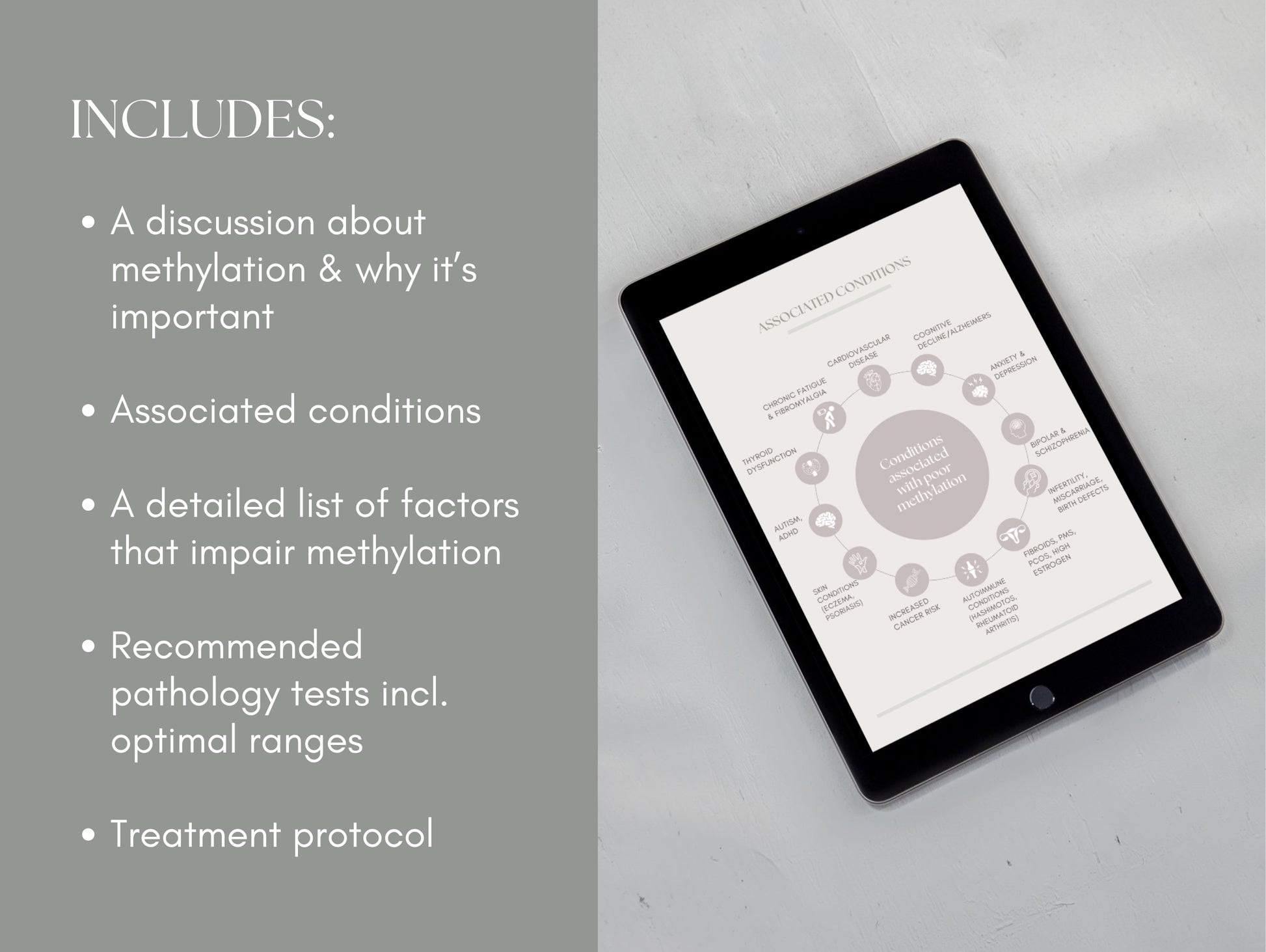 White-label MTHFR guide for passive income and patient education