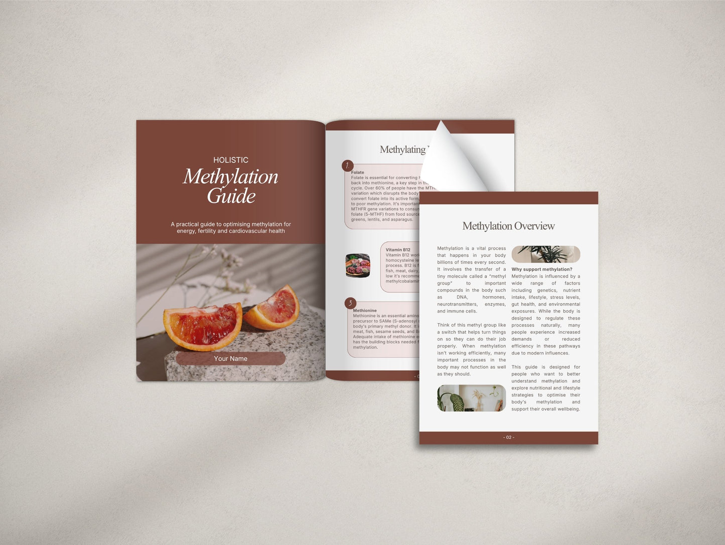 Methylation Patient Booklet
