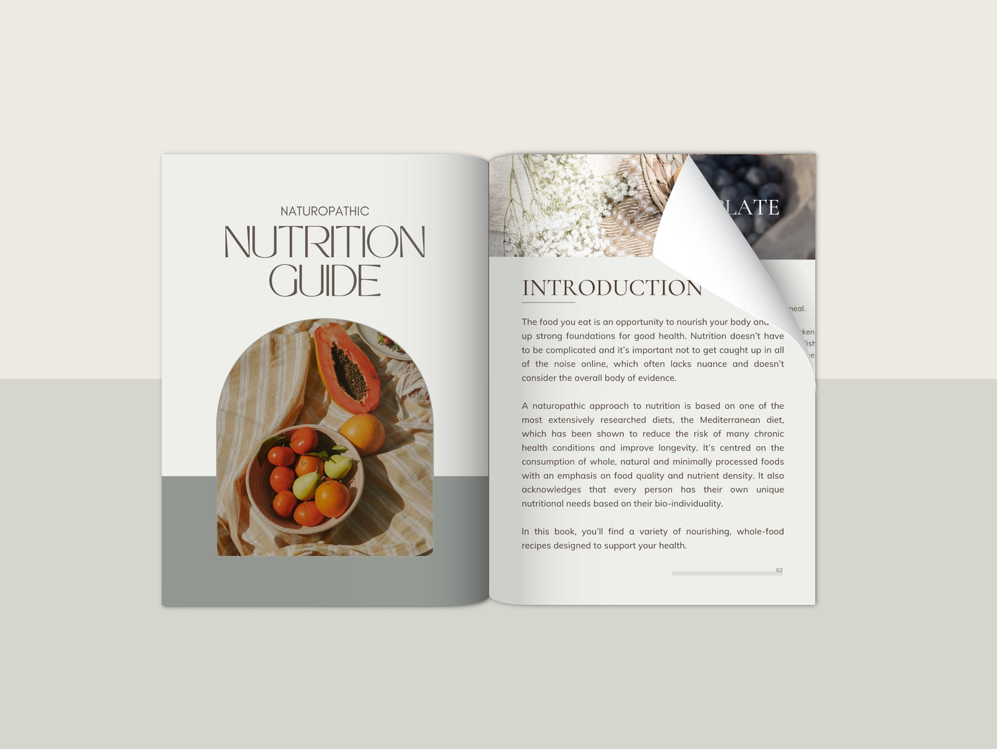 Naturopathic Mediterranean diet meal plan with recipes for nutritionists