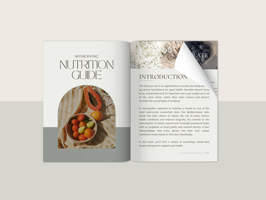 Naturopathic Mediterranean diet meal plan with recipes for nutritionists