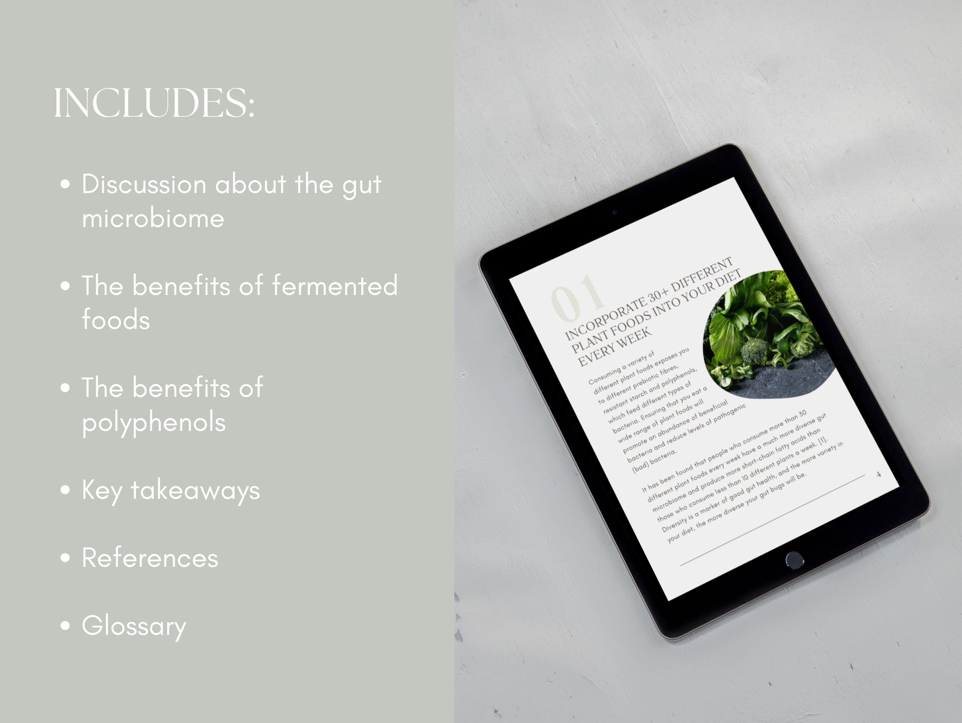 Microbiome and digestion eBook Canva template for nutritionists