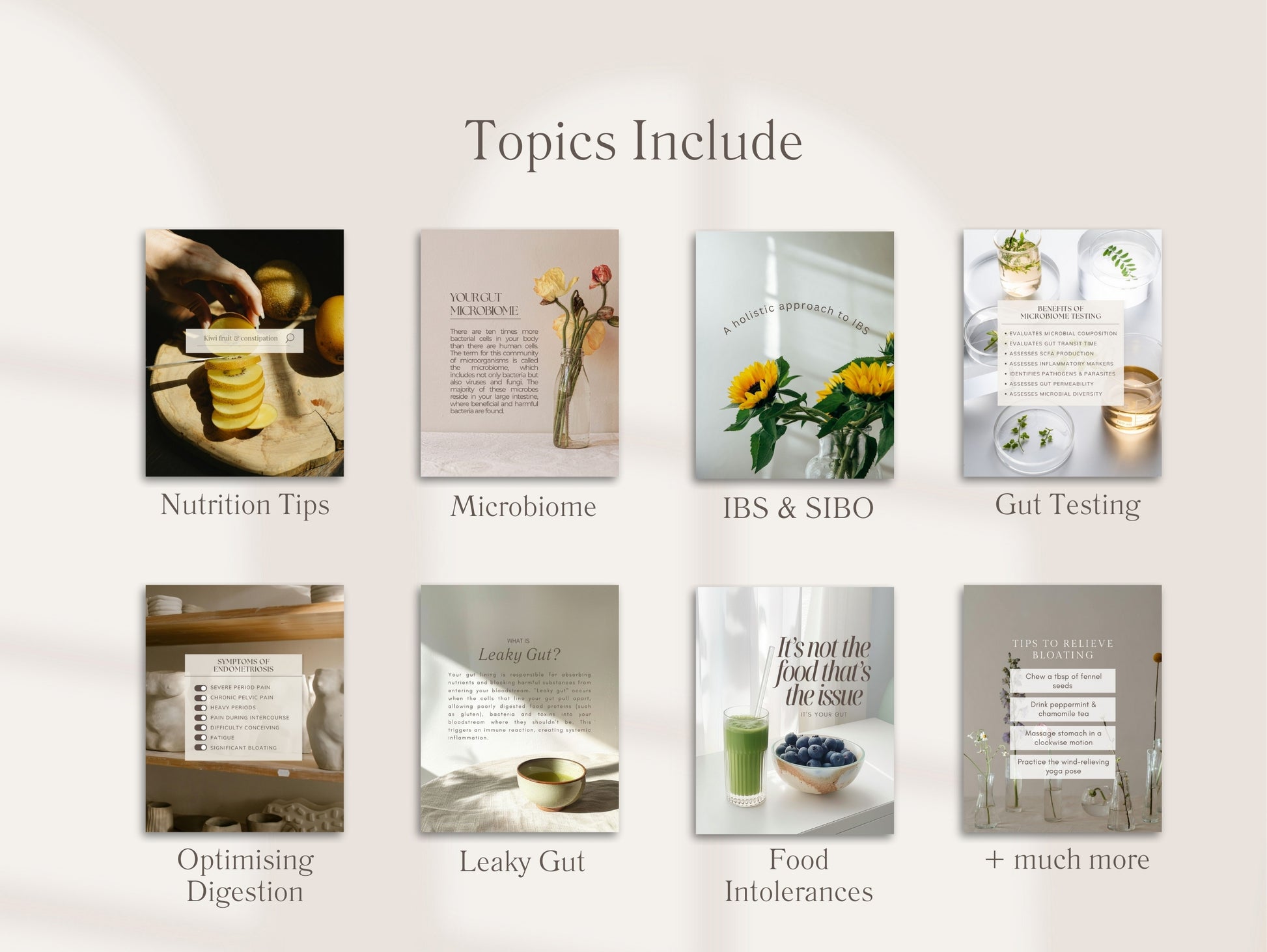 Canva gut health Instagram posts for wellness professionals covering microbiome, SIBO, IBS