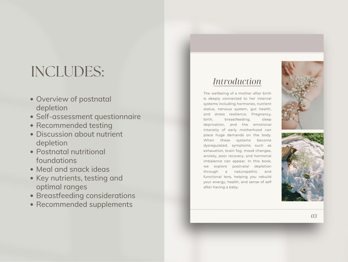 Postnatal Depletion Ebook