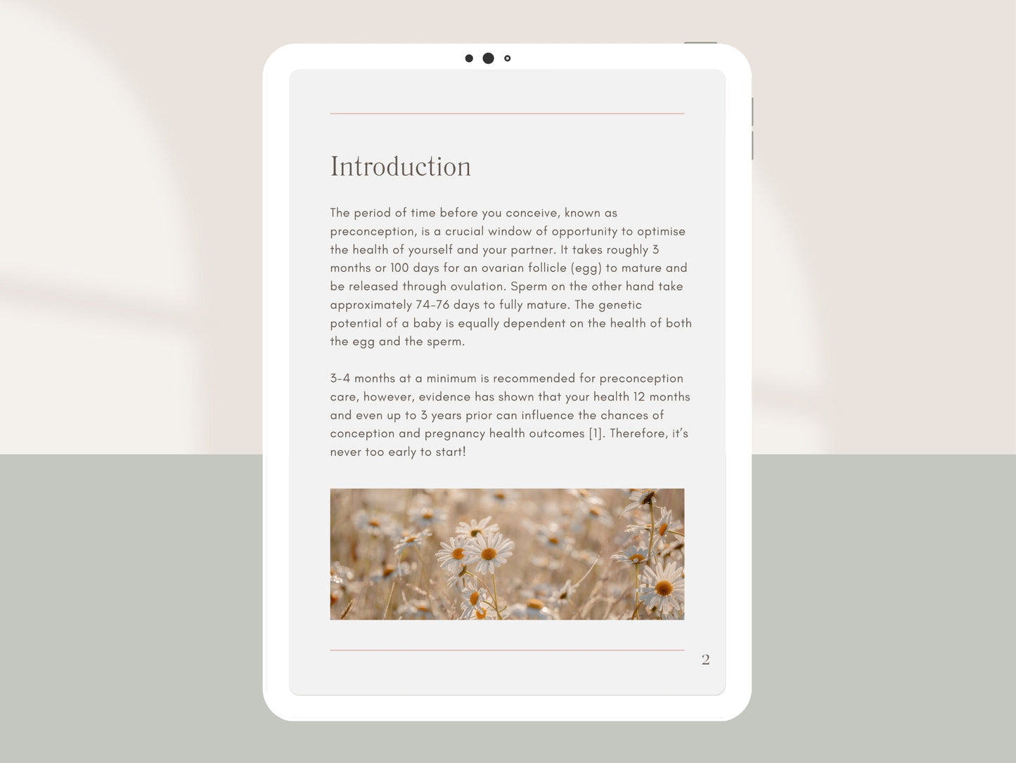Naturopathic preconception Canva template for patients