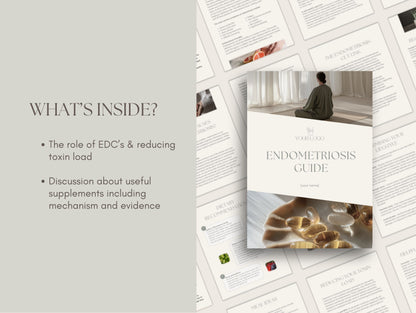 Canva endometriosis booklet template for wellness professionals and herbalists