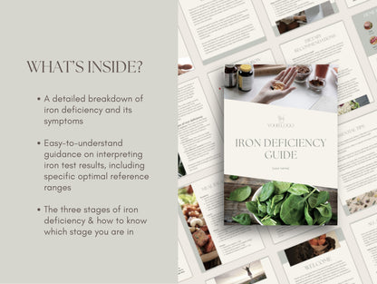 Editable iron deficiency handout for integrative health practitioners