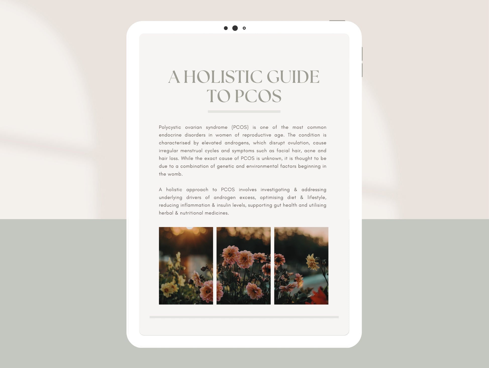 Comprehensive PCOS booklet for naturopaths and dietitians