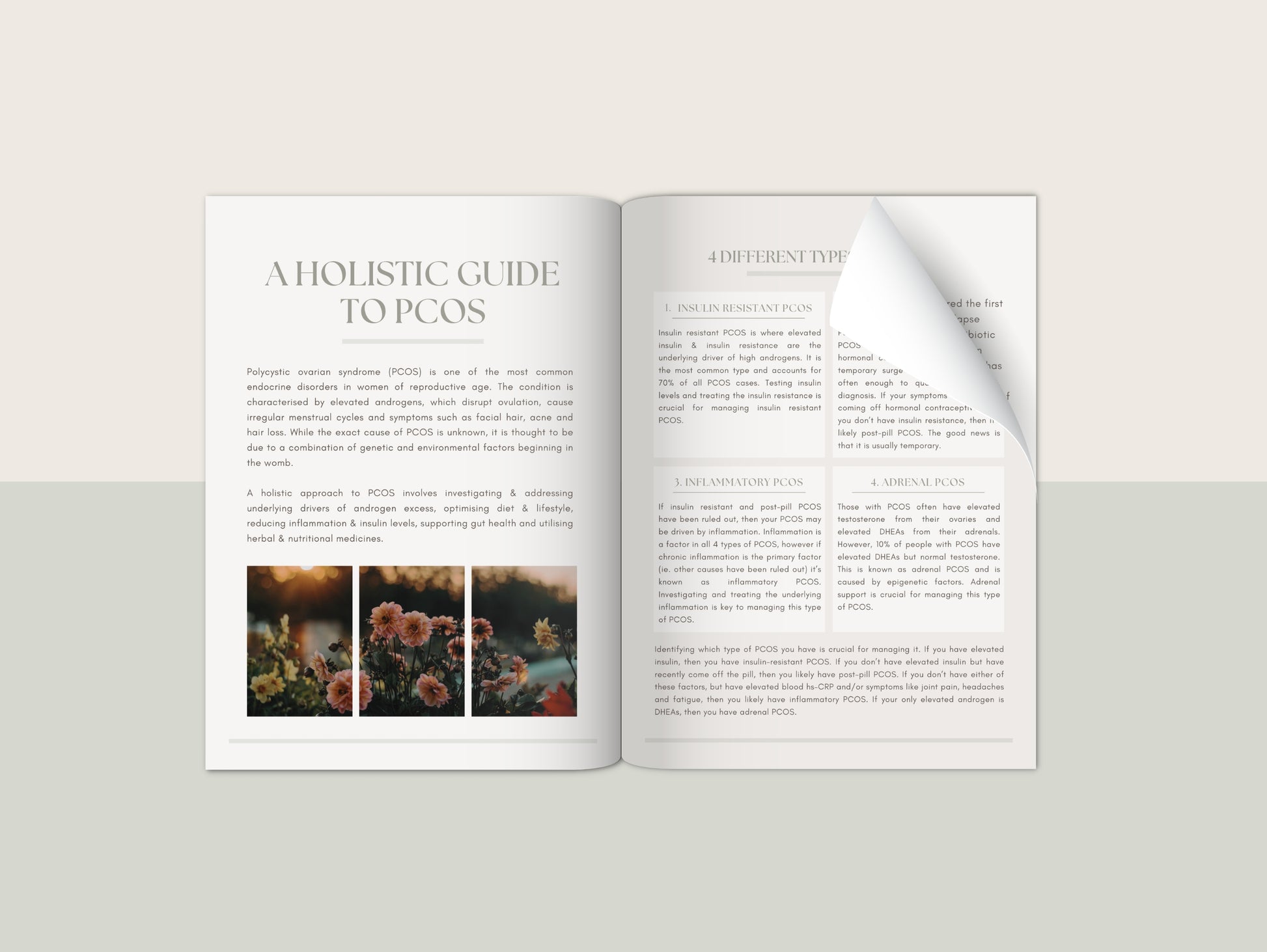 PCOS patient booklet for naturopaths and functional medicine practitioners