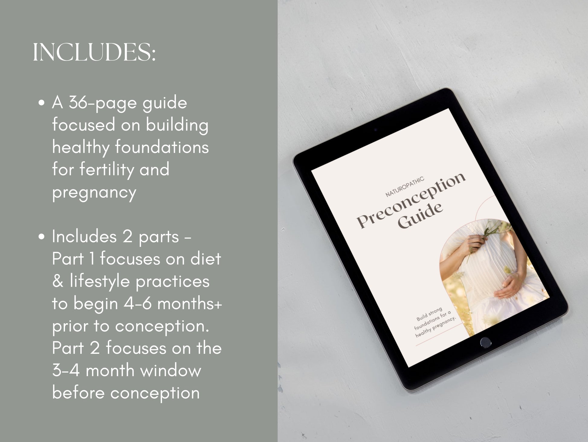 Done-for-you preconception guide Canva template for health professionals