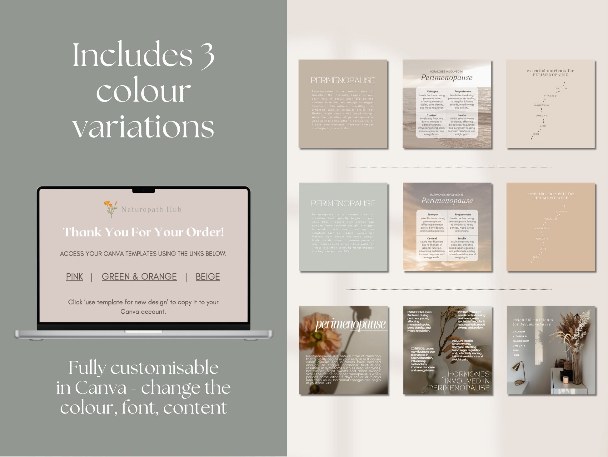 Holistic perimenopause Canva content for practitioners