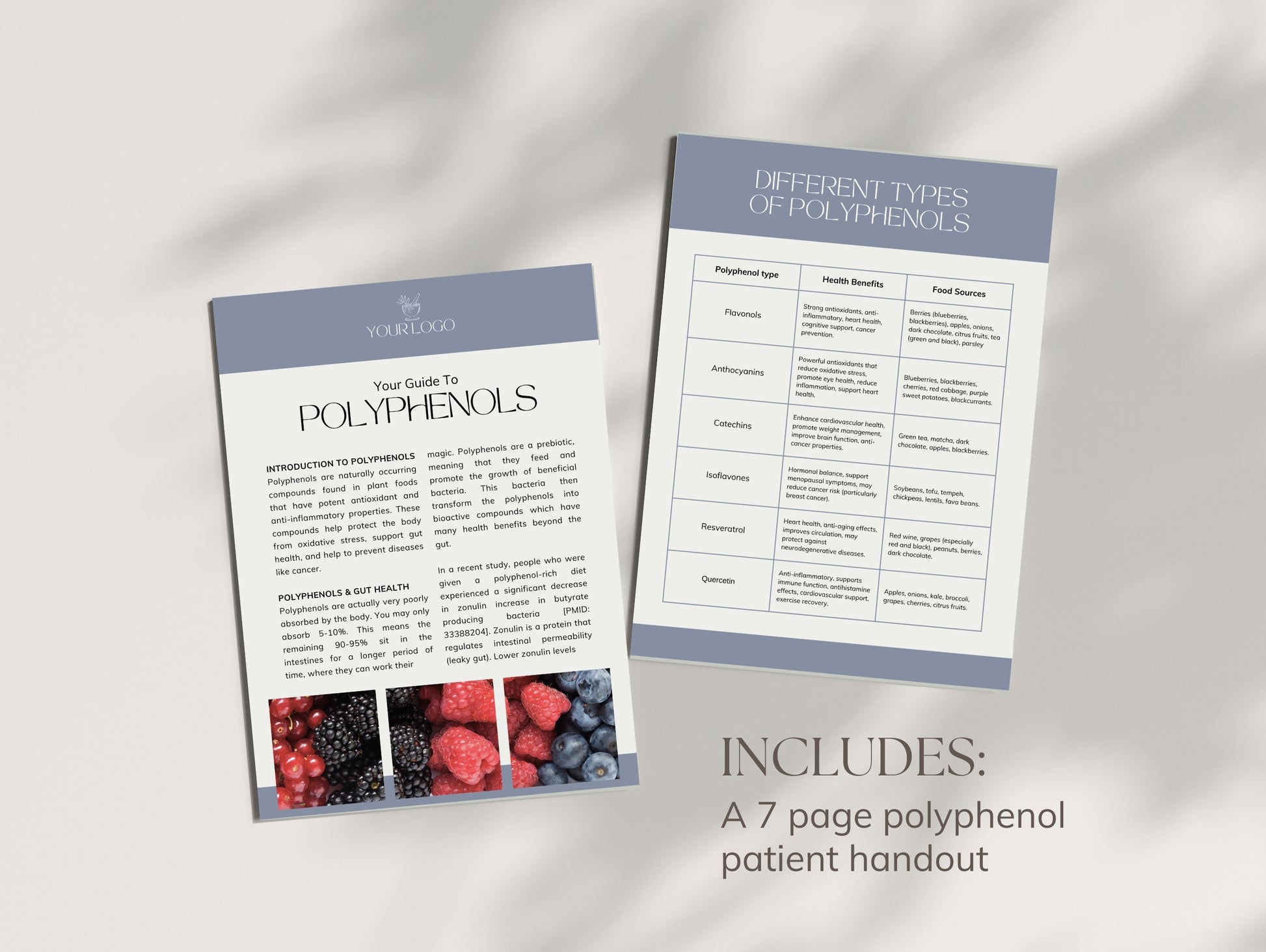 Done-for-you polyphenol guide for holistic health professionals and nutritionists