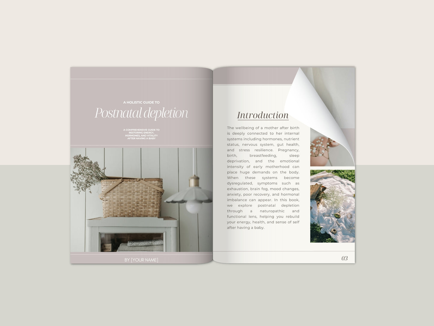 Postnatal Depletion Ebook