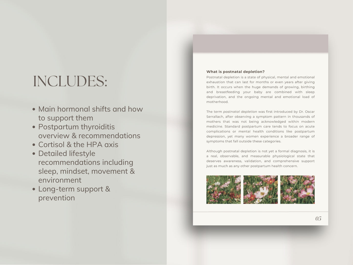 Postnatal Depletion Ebook