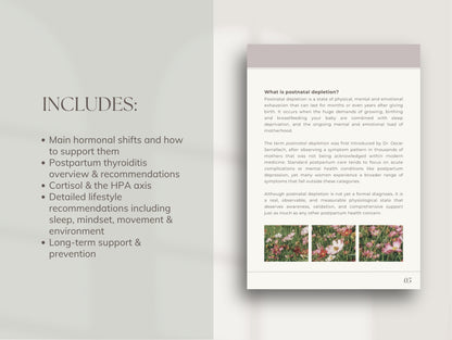 Postnatal Depletion Ebook