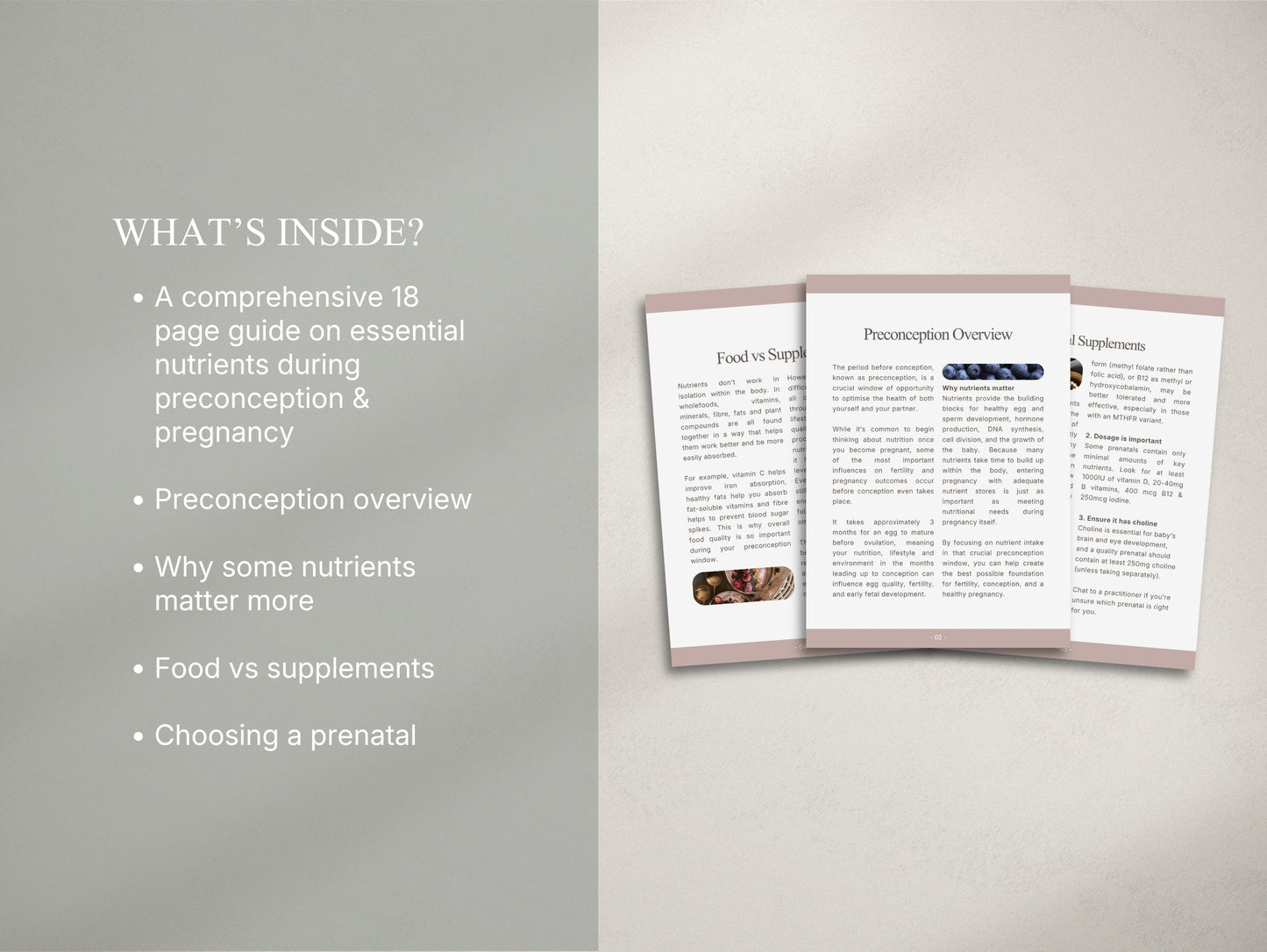Prenatal Nutrient Guide