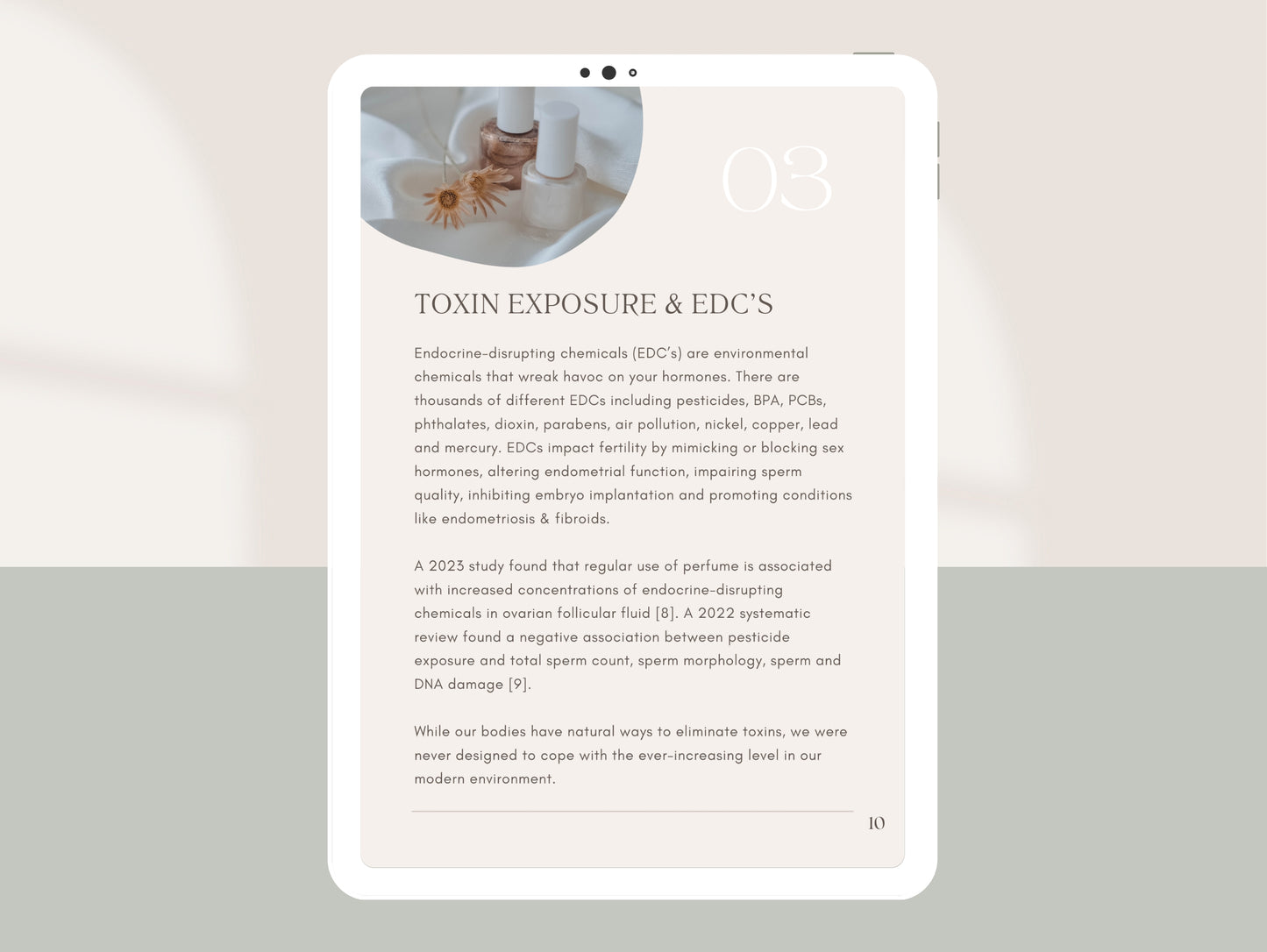 Fertility and preconception Canva eBook for nutritionists and NDs