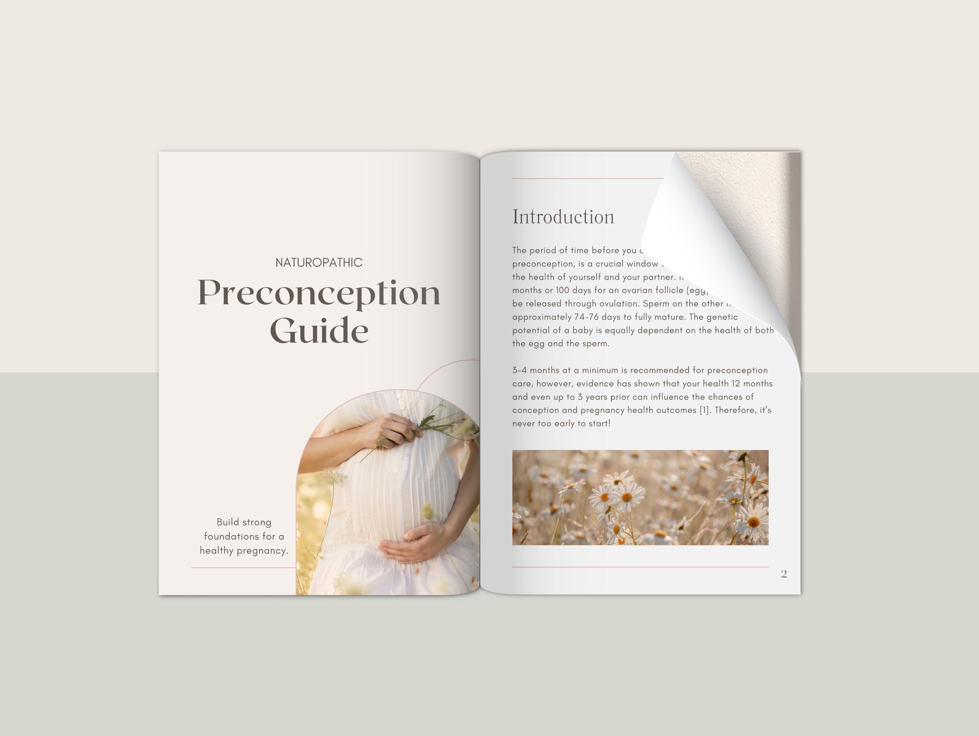 Preconception eBook Canva template for naturopaths and wellness practitioners