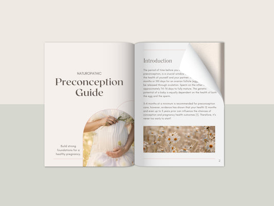 Preconception eBook Canva template for naturopaths and wellness practitioners
