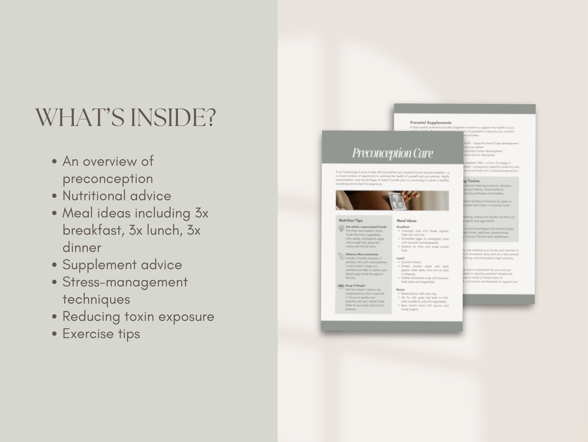 Done-for-you preconception guide for holistic health professionals and nutritionists