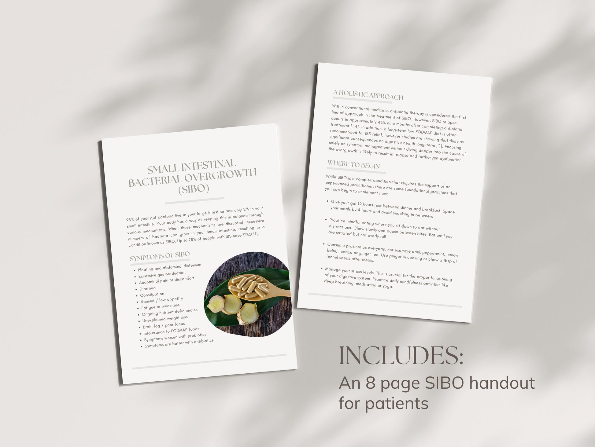 Done-for-you SIBO guide for holistic health professionals and nutritionists