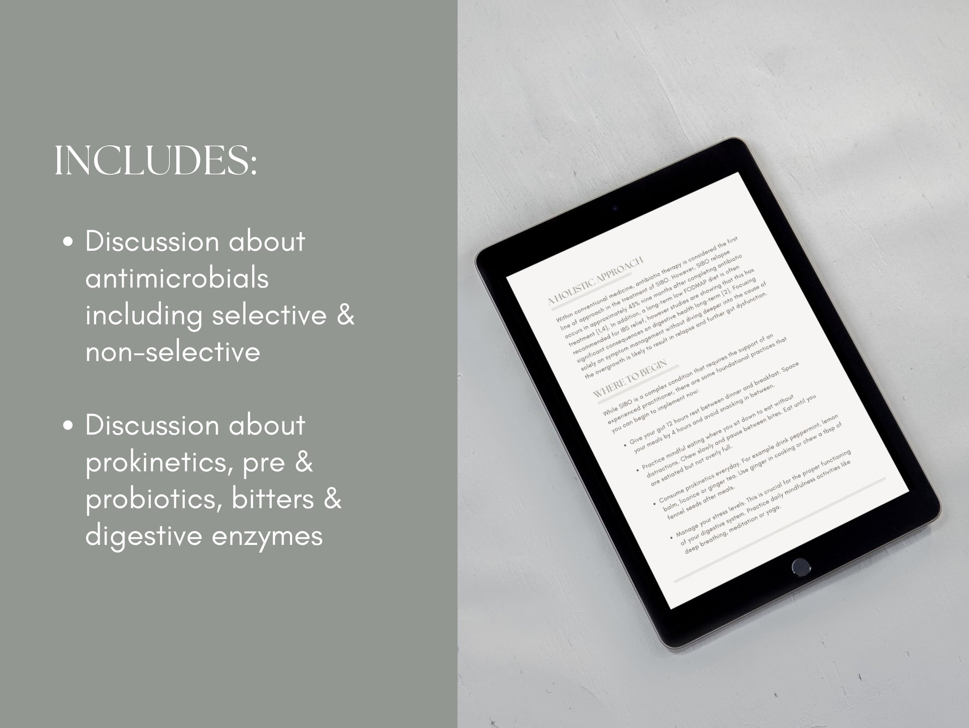 Canva SIBO patient booklet template for wellness professionals and herbalists