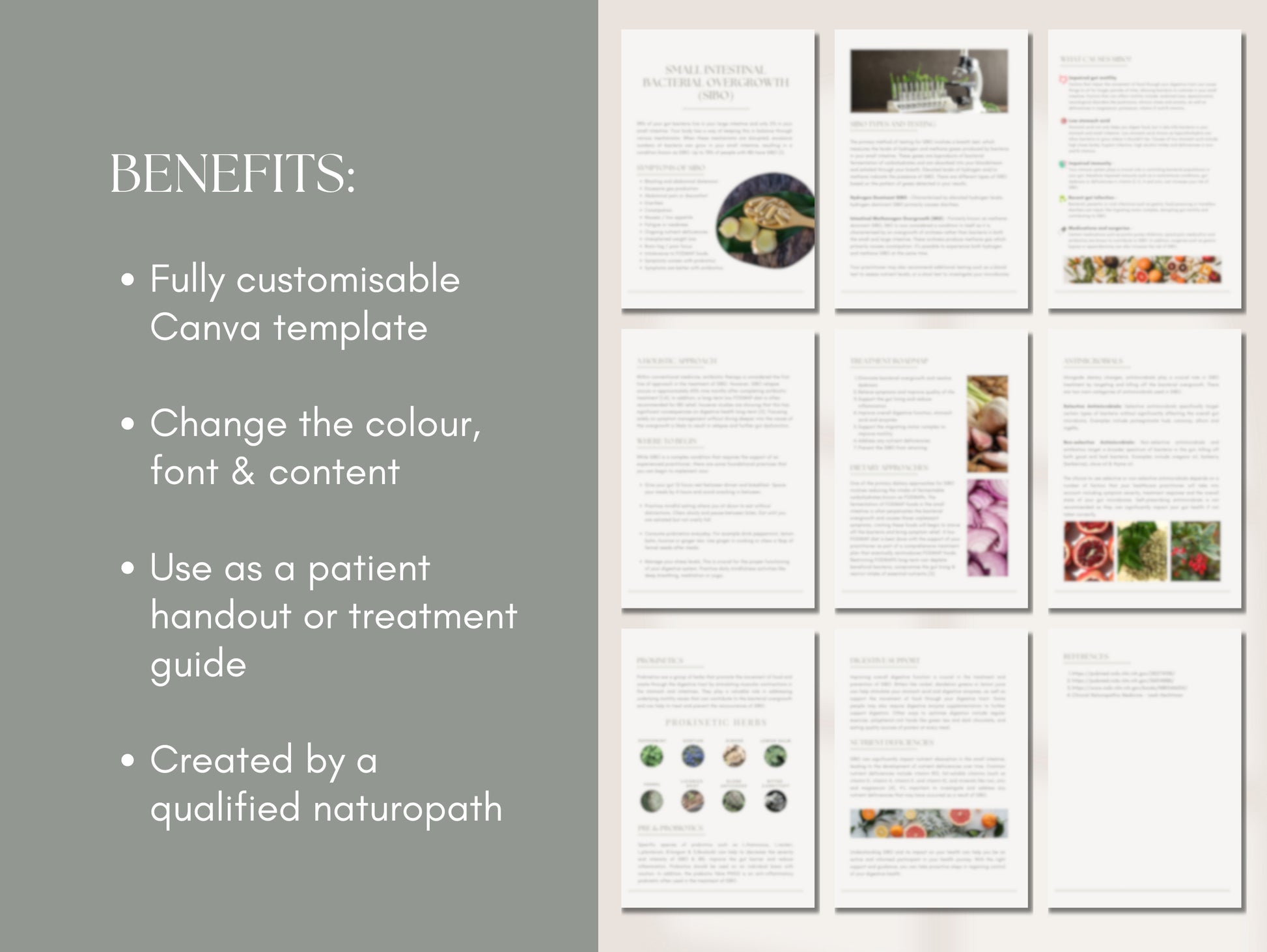 PLR SIBO patient booklet for passive income and client education