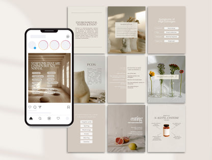 PLR Instagram hormone templates for passive income and client education