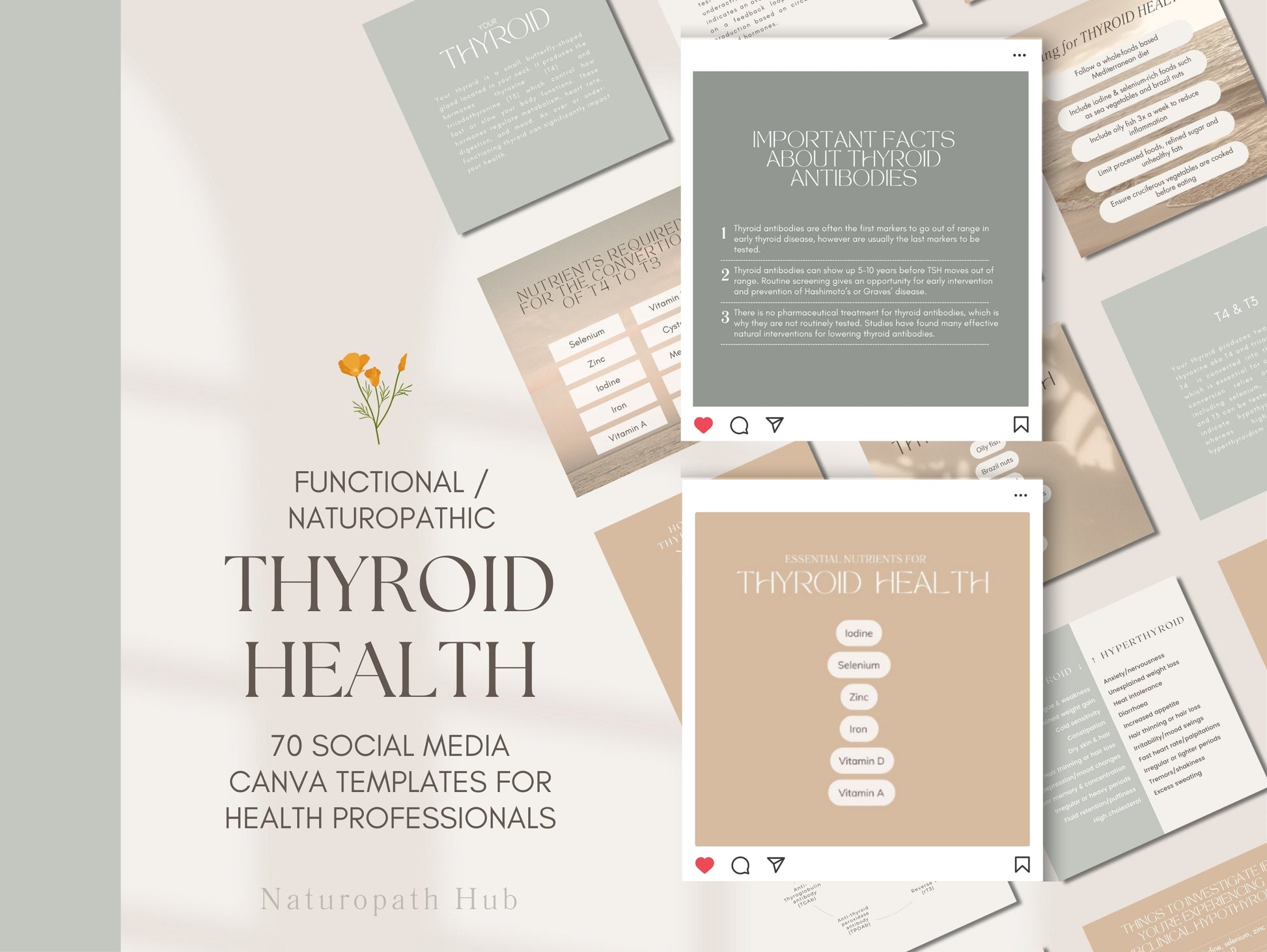 Thyroid health Instagram Canva templates for naturopaths