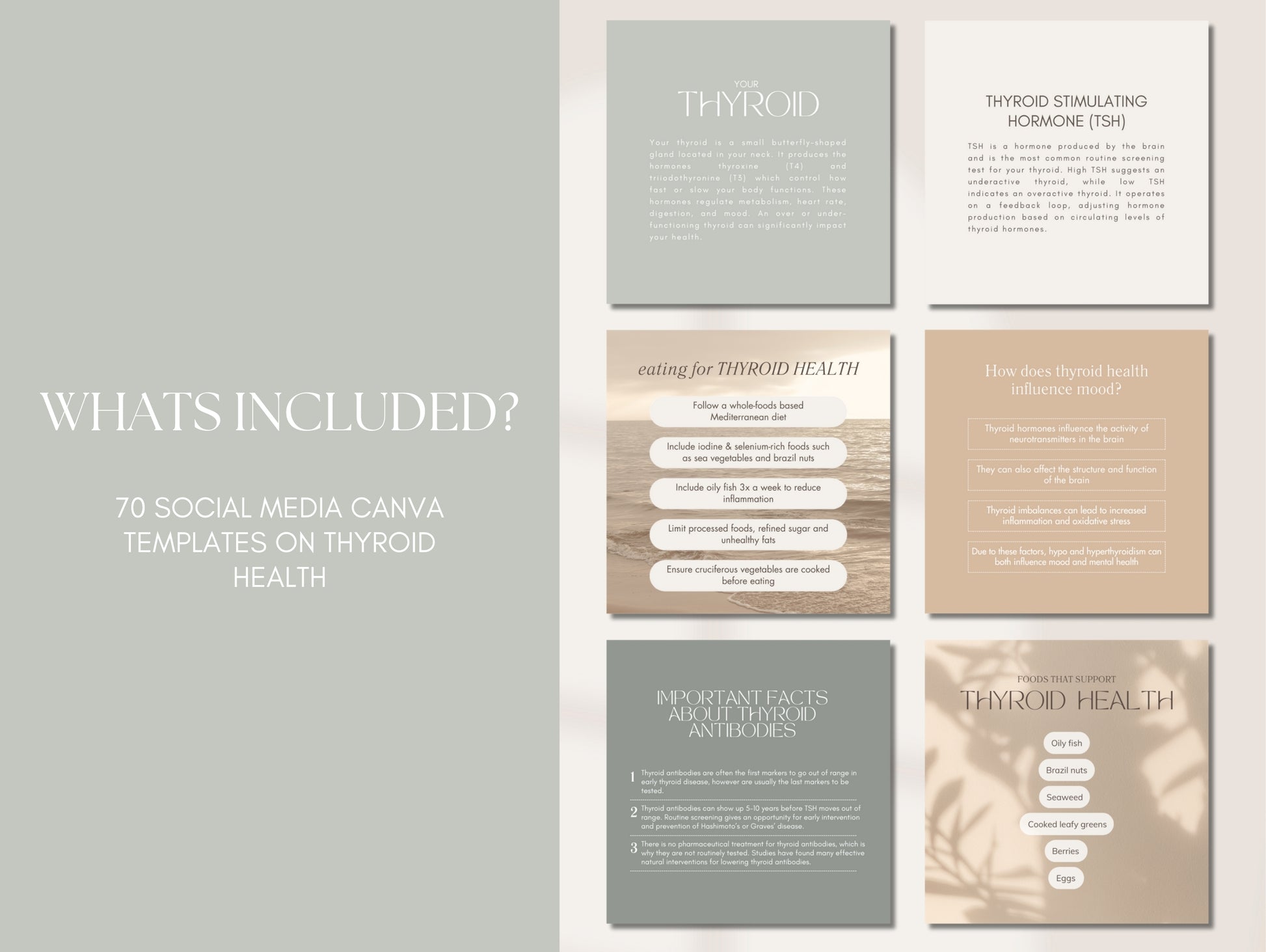 Hashimoto’s thyroid Canva post templates for wellness professionals