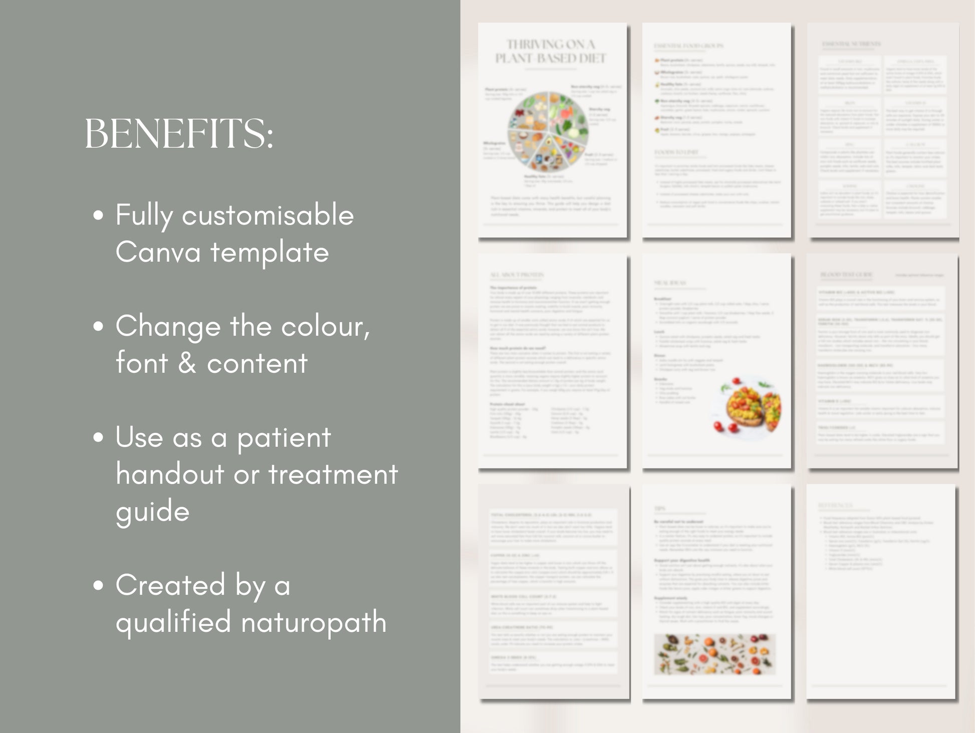 Vegan nutrition ebook